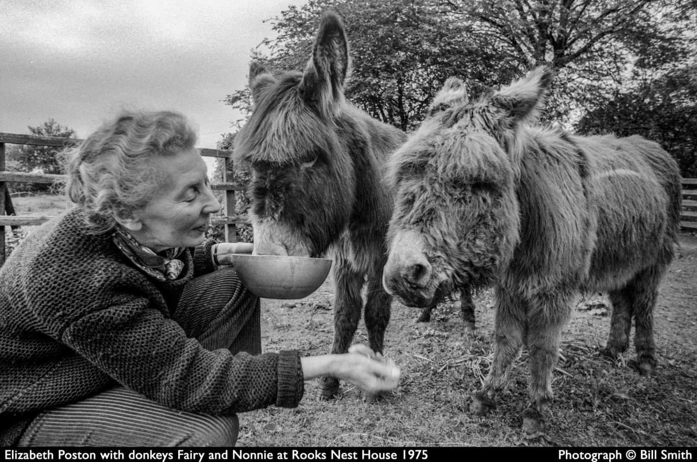 collage of MoV project logos Collage of logos depicting Multitude of Voyces' projects
